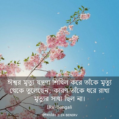 Picture 03 - पশিষ্যচরিত 2:24 BENIRV - ঈশ্বর মৃত্যু - Bible Verse Picture