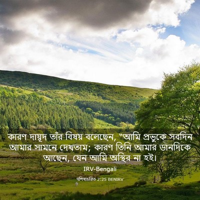 Picture 03 - पশিষ্যচরিত 2:25 BENIRV - কারণ দায়ূদ তাঁর - Bible Verse Picture
