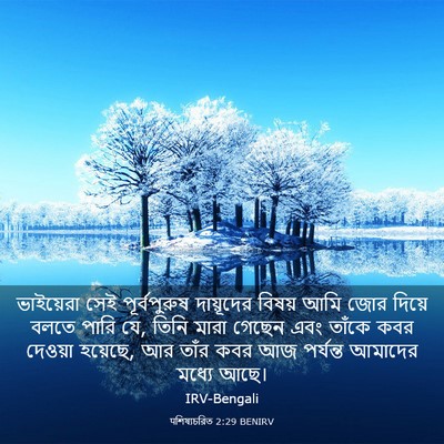 Picture 03 - पশিষ্যচরিত 2:29 BENIRV - ভাইয়েরা সেই - Bible Verse Picture