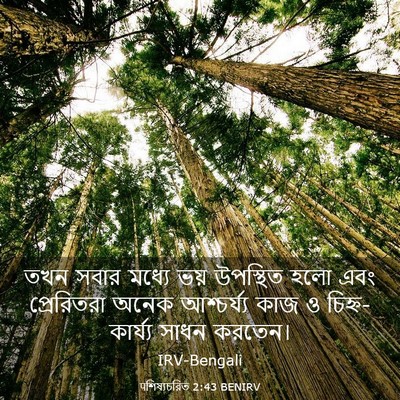 Picture 03 - पশিষ্যচরিত 2:43 BENIRV - তখন সবার মধ্যে ভয় - Bible Verse Picture