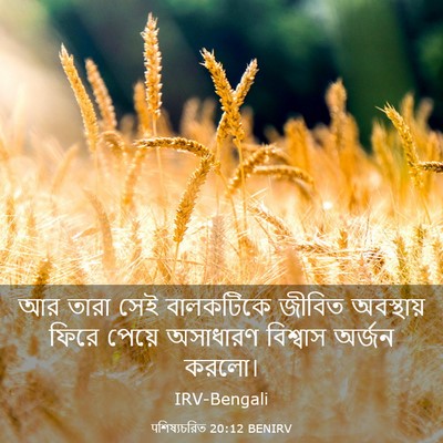 Picture 03 - पশিষ্যচরিত 20:12 BENIRV - আর তারা সেই - Bible Verse Picture