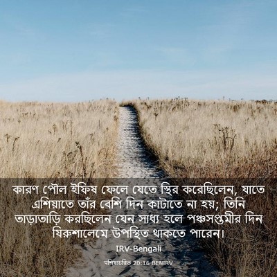 Picture 03 - पশিষ্যচরিত 20:16 BENIRV - কারণ পৌল ইফিষ ফেলে - Bible Verse Picture