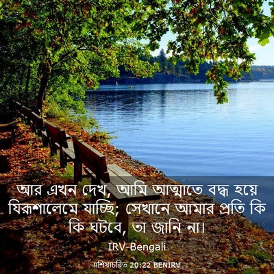 Picture 03 - पশিষ্যচরিত 20:22 BENIRV - আর এখন দেখ, আমি - Bible Verse Picture