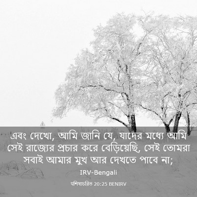 Picture 03 - पশিষ্যচরিত 20:25 BENIRV - এবং দেখো, আমি জানি - Bible Verse Picture