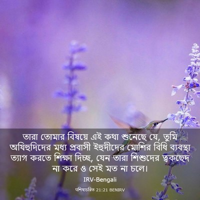 Picture 03 - पশিষ্যচরিত 21:21 BENIRV - তারা তোমার বিষয়ে - Bible Verse Picture