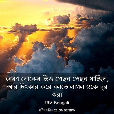 Picture 03 - पশিষ্যচরিত 21:36 BENIRV - কারণ লোকের ভিড় - Bible Verse Picture