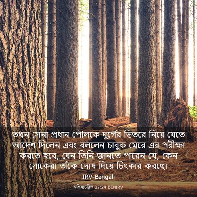 Picture 03 - पশিষ্যচরিত 22:24 BENIRV - তখন সেনা প্রধান - Bible Verse Picture