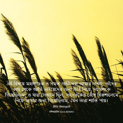 Picture 03 - पশিষ্যচরিত 22:5 BENIRV - এই বিষয়ে মহাযাজক - Bible Verse Picture