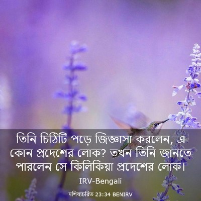 Picture 03 - पশিষ্যচরিত 23:34 BENIRV - তিনি চিঠিটি পড়ে - Bible Verse Picture