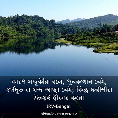 Picture 03 - पশিষ্যচরিত 23:8 BENIRV - কারণ সদ্দূকীরা - Bible Verse Picture