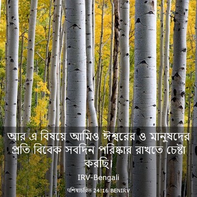 Picture 03 - पশিষ্যচরিত 24:16 BENIRV - আর এ বিষয়ে আমিও - Bible Verse Picture