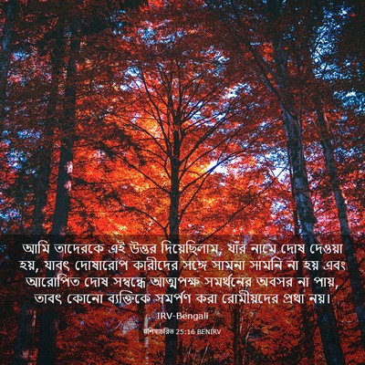 Picture 03 - पশিষ্যচরিত 25:16 BENIRV - আমি তাদেরকে এই - Bible Verse Picture