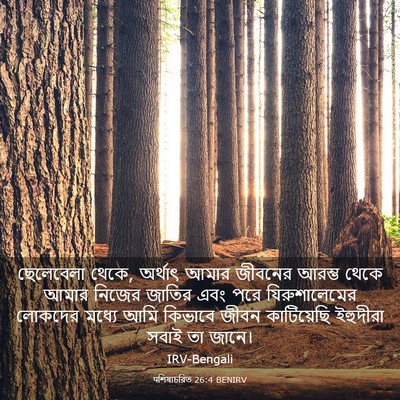 Picture 03 - पশিষ্যচরিত 26:4 BENIRV - ছেলেবেলা থেকে, - Bible Verse Picture