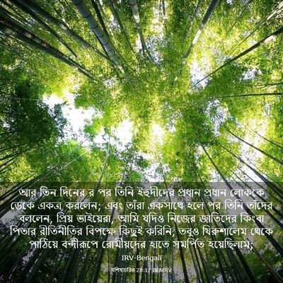 Picture 03 - पশিষ্যচরিত 28:17 BENIRV - আর তিন দিনের র পর - Bible Verse Picture