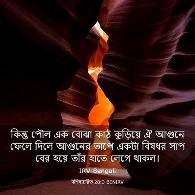 Picture 03 - पশিষ্যচরিত 28:3 BENIRV - কিন্তু পৌল এক বোঝা - Bible Verse Picture