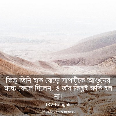 Picture 03 - पশিষ্যচরিত 28:5 BENIRV - কিন্তু তিনি হাত - Bible Verse Picture