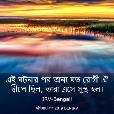 Picture 03 - पশিষ্যচরিত 28:9 BENIRV - এই ঘটনার পর অন্য যত - Bible Verse Picture