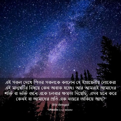 Picture 03 - पশিষ্যচরিত 3:12 BENIRV - এই সকল দেখে পিতর - Bible Verse Picture