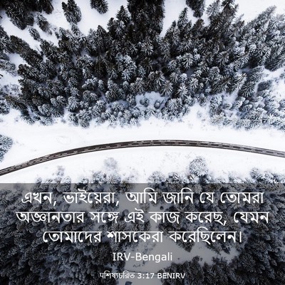 Picture 03 - पশিষ্যচরিত 3:17 BENIRV - এখন, ভাইয়েরা, আমি - Bible Verse Picture