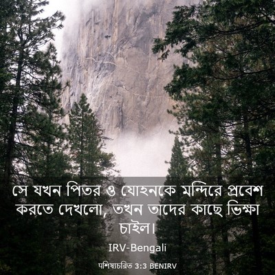 Picture 03 - पশিষ্যচরিত 3:3 BENIRV - সে যখন পিতর ও - Bible Verse Picture