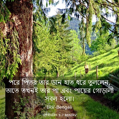 Picture 03 - पশিষ্যচরিত 3:7 BENIRV - পরে পিতর তার ডান - Bible Verse Picture