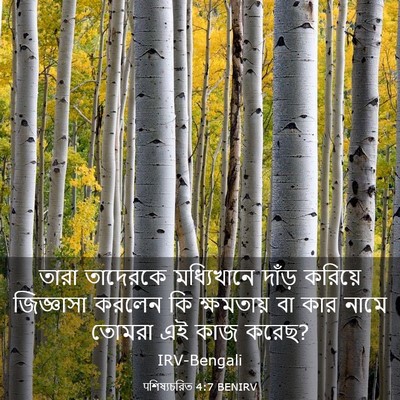 Picture 03 - पশিষ্যচরিত 4:7 BENIRV - তারা তাদেরকে - Bible Verse Picture