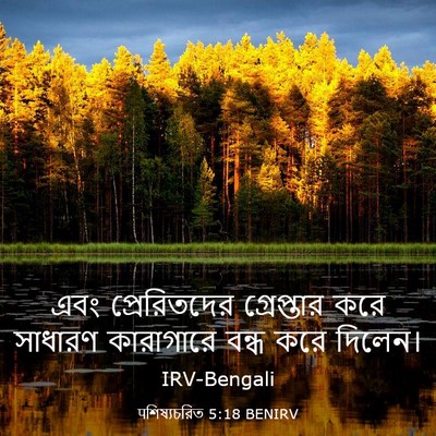 Picture 03 - पশিষ্যচরিত 5:18 BENIRV - এবং প্রেরিতদের - Bible Verse Picture