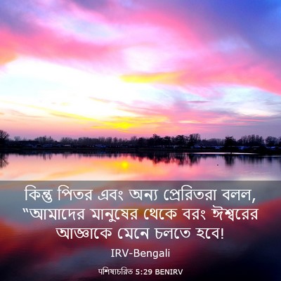 Picture 03 - पশিষ্যচরিত 5:29 BENIRV - কিন্তু পিতর এবং - Bible Verse Picture