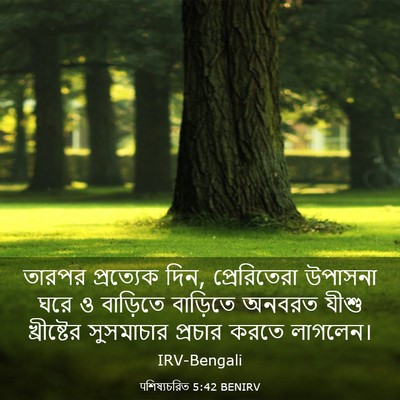 Picture 03 - पশিষ্যচরিত 5:42 BENIRV - তারপর প্রত্যেক - Bible Verse Picture