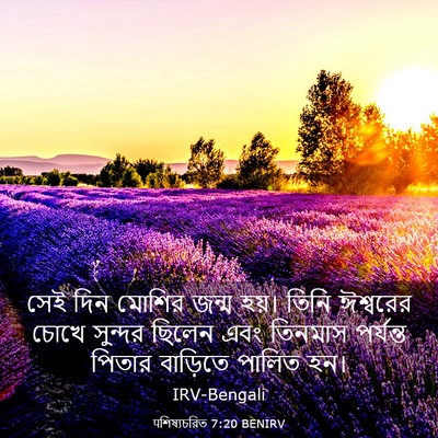 Picture 03 - पশিষ্যচরিত 7:20 BENIRV - সেই দিন মোশির জন্ম - Bible Verse Picture