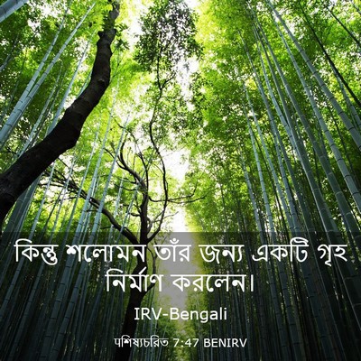 Picture 03 - पশিষ্যচরিত 7:47 BENIRV - কিন্তু শলোমন তাঁর - Bible Verse Picture