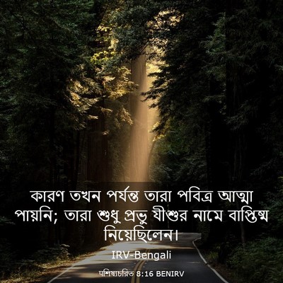 Picture 03 - पশিষ্যচরিত 8:16 BENIRV - কারণ তখন পর্যন্ত - Bible Verse Picture