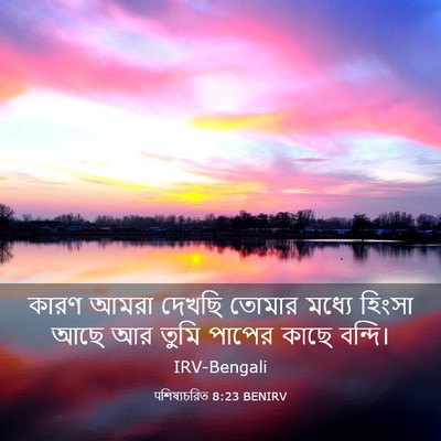 Picture 03 - पশিষ্যচরিত 8:23 BENIRV - কারণ আমরা দেখছি - Bible Verse Picture