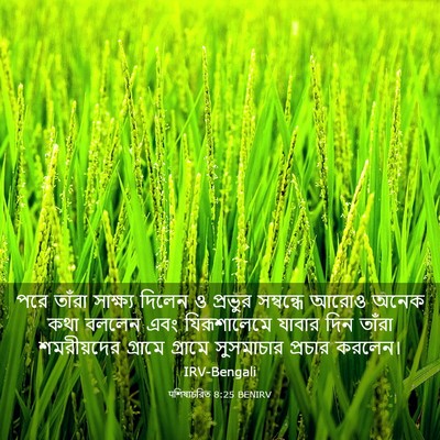 Picture 03 - पশিষ্যচরিত 8:25 BENIRV - পরে তাঁরা সাক্ষ্য - Bible Verse Picture