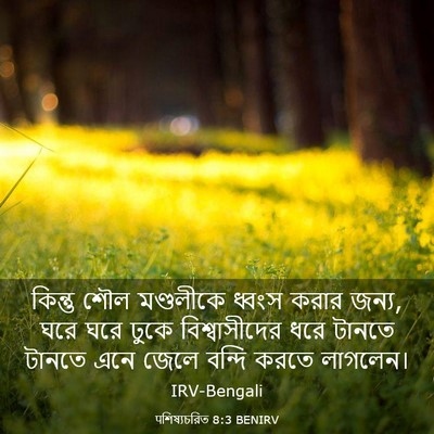 Picture 03 - पশিষ্যচরিত 8:3 BENIRV - কিন্তু শৌল - Bible Verse Picture