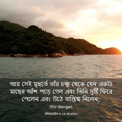 Picture 03 - पশিষ্যচরিত 9:18 BENIRV - আর সেই মূহুর্তে - Bible Verse Picture