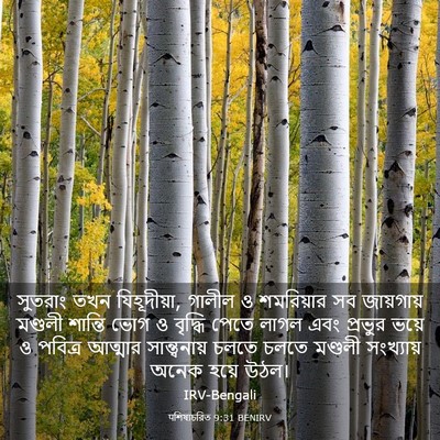 Picture 03 - पশিষ্যচরিত 9:31 BENIRV - সুতরাং তখন - Bible Verse Picture