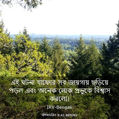 Picture 03 - पশিষ্যচরিত 9:42 BENIRV - এই ঘটনা যাফোর সব - Bible Verse Picture