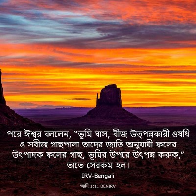 Picture 03 - আদি 1:11 BENIRV - পরে ঈশ্বর বললেন, - Bible Verse Picture
