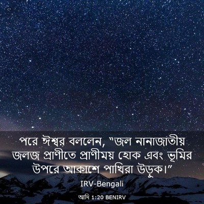 Picture 03 - আদি 1:20 BENIRV - পরে ঈশ্বর বললেন, - Bible Verse Picture