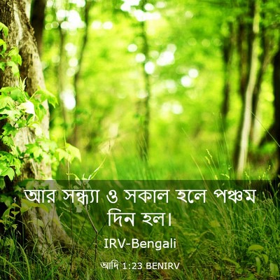 Picture 03 - আদি 1:23 BENIRV - আর সন্ধ্যা ও সকাল - Bible Verse Picture