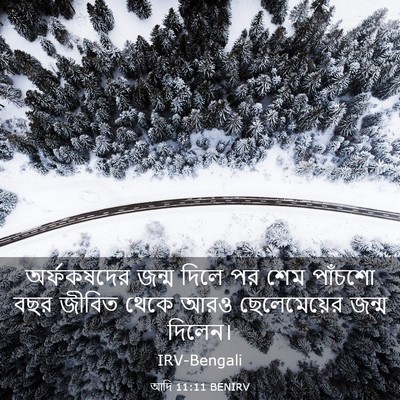 Picture 03 - আদি 11:11 BENIRV - অর্ফকষদের জন্ম - Bible Verse Picture