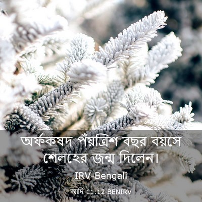 Picture 03 - আদি 11:12 BENIRV - অর্ফকষদ পঁয়ত্রিশ - Bible Verse Picture