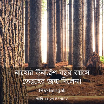 Picture 03 - আদি 11:24 BENIRV - নাহোর উনত্রিশ বছর - Bible Verse Picture