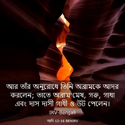 Picture 03 - আদি 12:16 BENIRV - আর তাঁর অনুরোধে - Bible Verse Picture