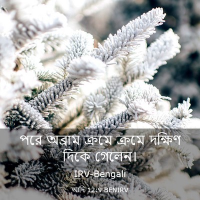 Picture 03 - আদি 12:9 BENIRV - পরে অব্রাম ক্রমে - Bible Verse Picture