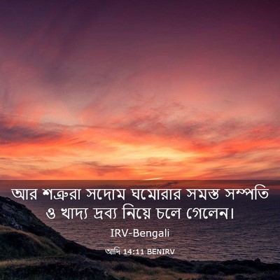 Picture 03 - আদি 14:11 BENIRV - আর শত্রুরা সদোম - Bible Verse Picture