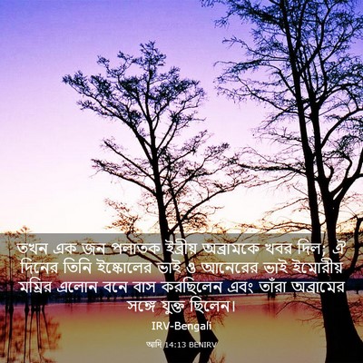 Picture 03 - আদি 14:13 BENIRV - তখন এক জন পলাতক - Bible Verse Picture
