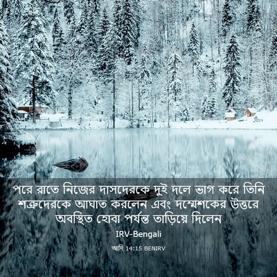 Picture 03 - আদি 14:15 BENIRV - পরে রাতে নিজের - Bible Verse Picture