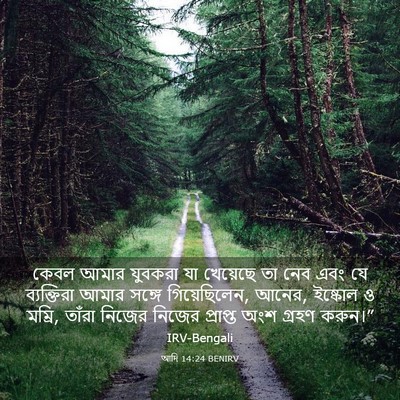 Picture 03 - আদি 14:24 BENIRV - কেবল আমার যুবকরা - Bible Verse Picture